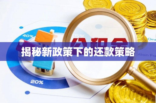 杨陵揭秘新政策下的还款策略