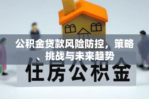 杨陵公积金贷款风险防控，策略、挑战与未来趋势