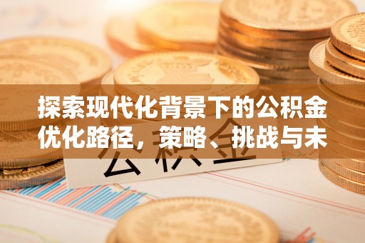 杨陵探索现代化背景下的公积金优化路径，策略、挑战与未来展望
