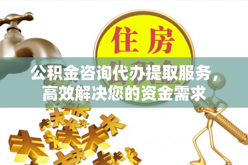 杨陵公积金咨询代办提取服务，高效解决您的资金需求