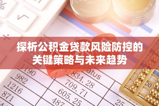 杨陵探析公积金贷款风险防控的关键策略与未来趋势