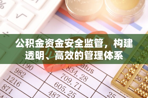 杨陵公积金资金安全监管，构建透明、高效的管理体系