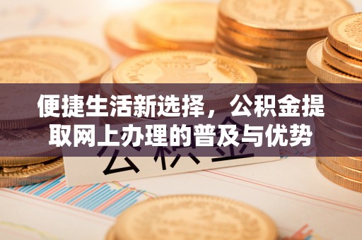 杨陵便捷生活新选择，公积金提取网上办理的普及与优势