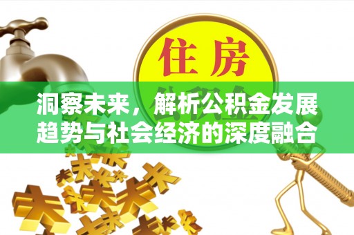 杨陵洞察未来，解析公积金发展趋势与社会经济的深度融合