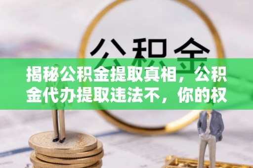 杨陵揭秘公积金提取真相，公积金代办提取违法不，你的权益如何保障？