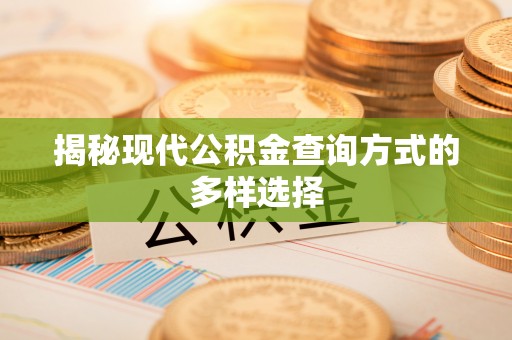 杨陵揭秘现代公积金查询方式的多样选择