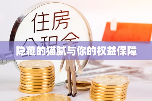 杨陵隐藏的猫腻与你的权益保障