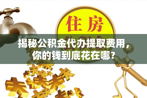 杨陵揭秘公积金代办提取费用，你的钱到底花在哪？