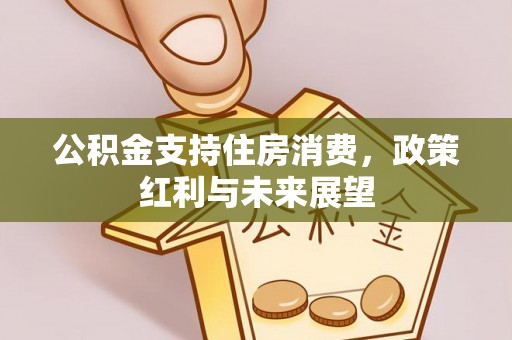 杨陵公积金支持住房消费，政策红利与未来展望