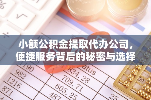 杨陵小额公积金提取代办公司，便捷服务背后的秘密与选择指南