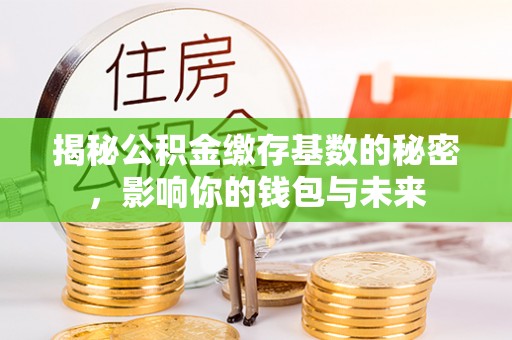 杨陵揭秘公积金缴存基数的秘密，影响你的钱包与未来