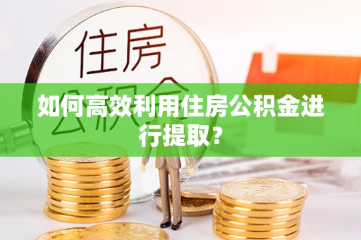 杨陵如何高效利用住房公积金进行提取？
