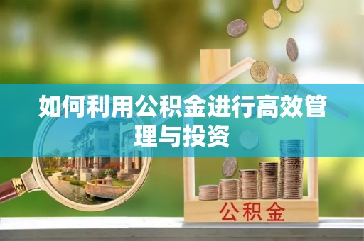 杨陵如何利用公积金进行高效管理与投资