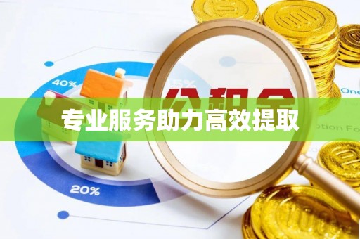杨陵专业服务助力高效提取