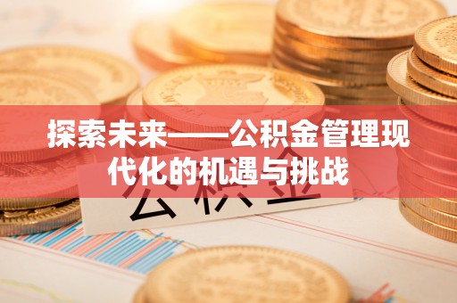 杨陵探索未来——公积金管理现代化的机遇与挑战
