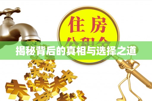 杨陵揭秘背后的真相与选择之道