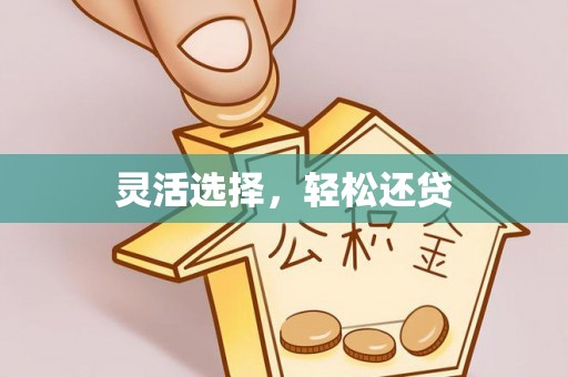 杨陵灵活选择，轻松还贷
