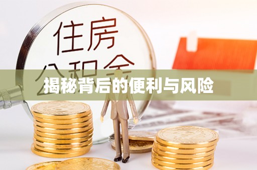 杨陵揭秘背后的便利与风险